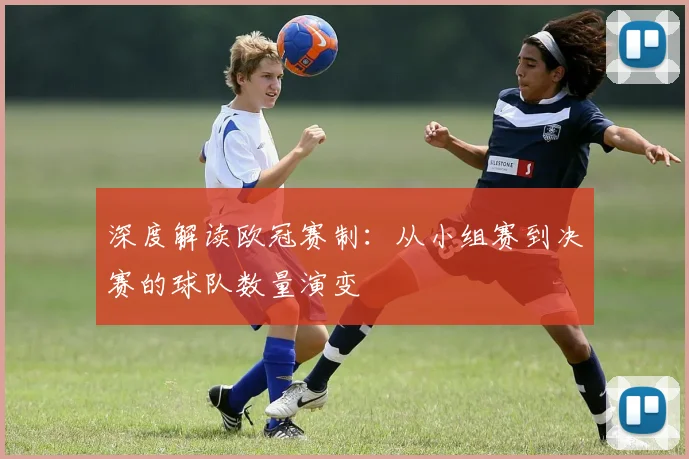深度解读欧冠赛制：从小组赛到决赛的球队数量演变